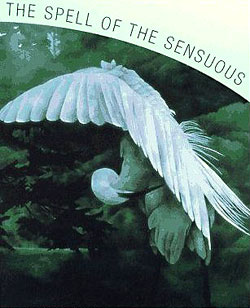 The Spell of the Sensuous
